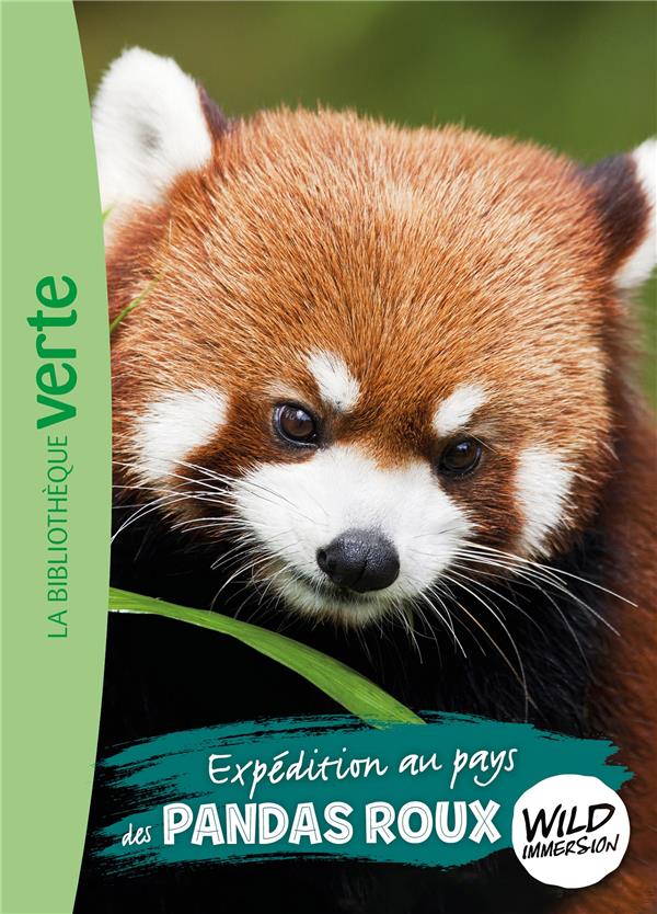 top-10-des-premi-res-lectures-pour-enfant-de-6-ans-loupiots-et-ciboulots