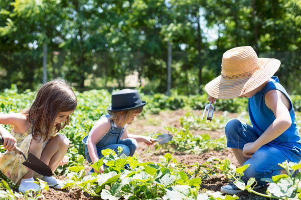 Faire un potager avec ses enfants : idées, astuces et conseils pour jardiner en famille